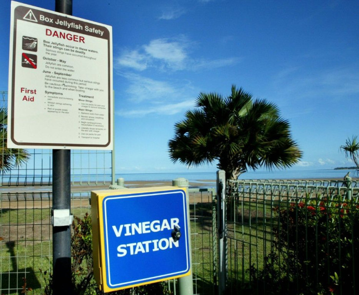 A sign outside a hotel in the Australian city of Darwin warns against swimming in the sea due to the danger posed by box jellyfish