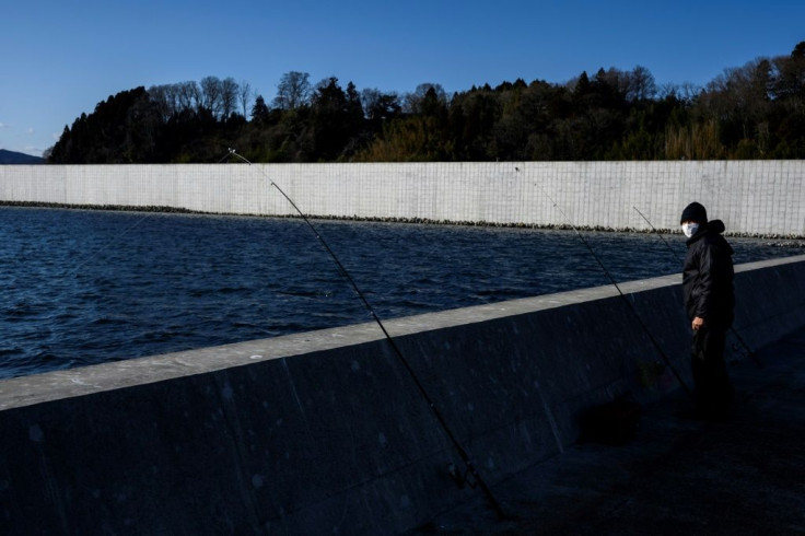 After the 2011 disaster, Japan's government asked coastal regions in the area to consider constructing or rebuilding protective walls