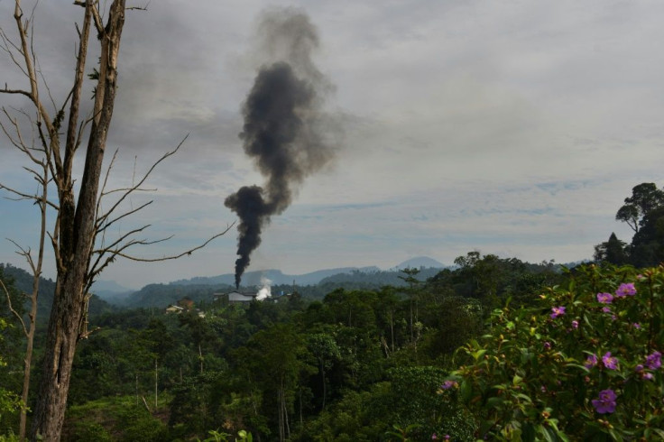 Indonesian palm oil factories have been blamed by environmentalists for deforestation