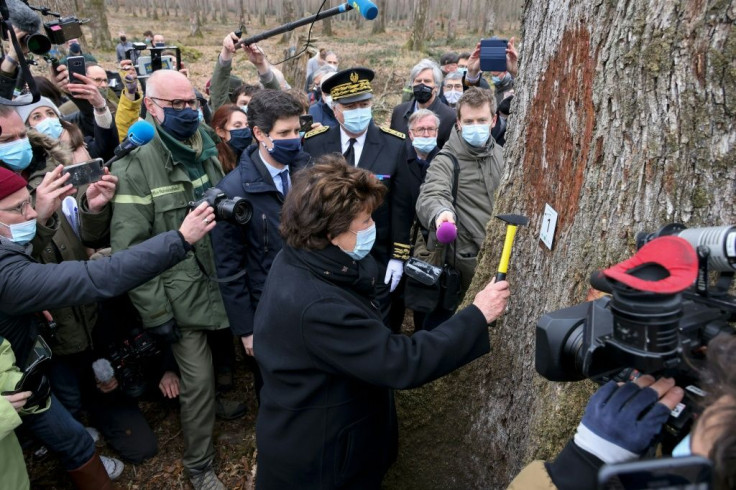 French Culture Minister Roselyne Bachelot attended a ceremony to select the official first tree
