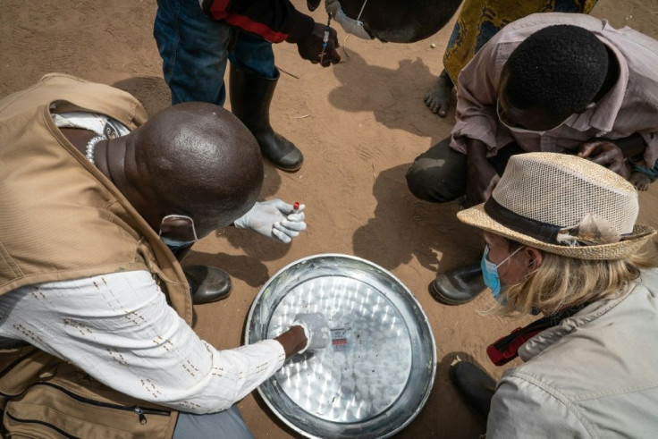 An expert team inspects flea traps, set up to confirm whether or not the insects are carrying the plague