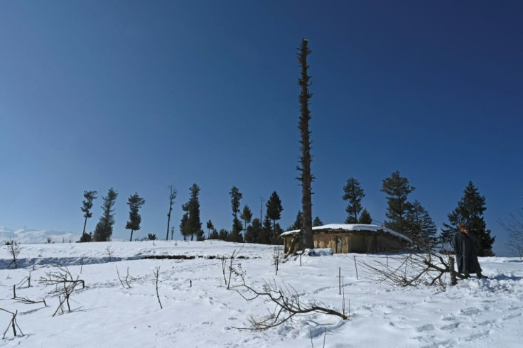 A senior forest official told AFP there was "a lot of pressure from higher authorities to be unsparing" on land matters