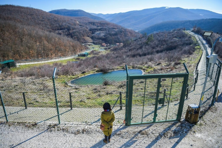 The Pristina Bear Sanctuary is a rare conservation success story in Kosovo