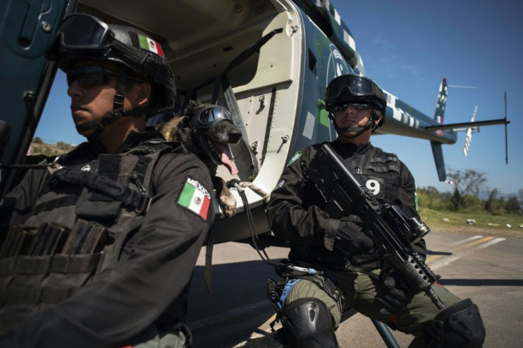 A sniffer dog and trainer take part in multi-nation drills in Veracruz in eastern Mexico