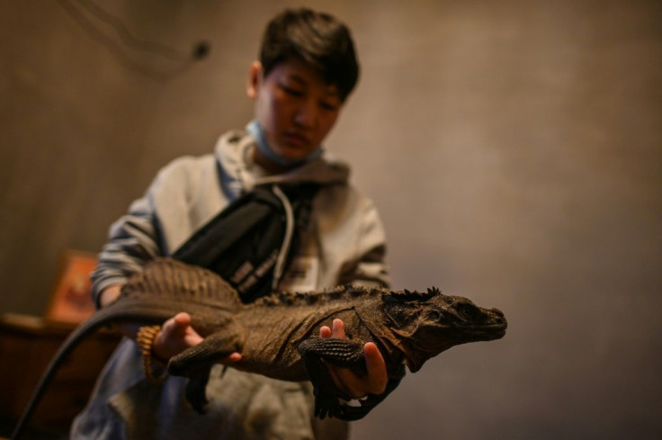 A customer holds an iguana at a reptile coffee shop in Shanghai