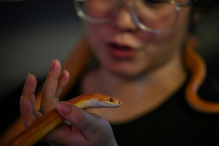 Reptile cafe owner Wang Liqun holds a snake around her neck
