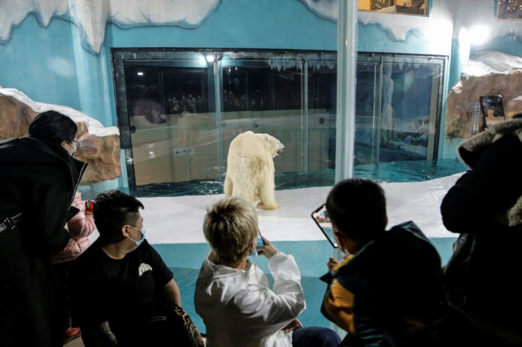 Animal rights activists urge people to stay away from establishments profiting "from animals' misery"