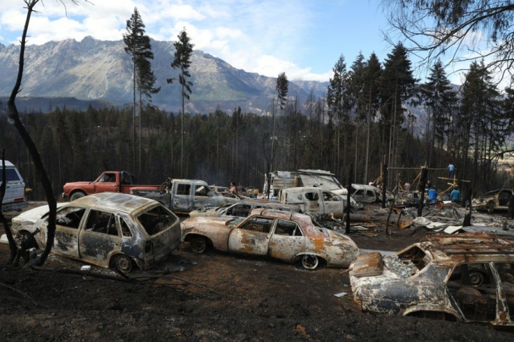 The fires, which authories suspect were started deliberately early this week, have reached several towns near the foothills of the Andes mountains, and have sonumed about 1,500 hectares of forest