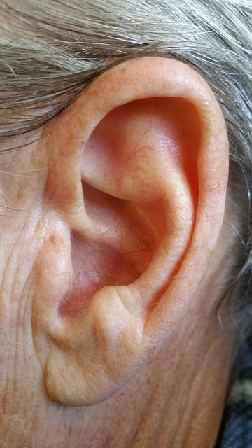 ear-1100111_640