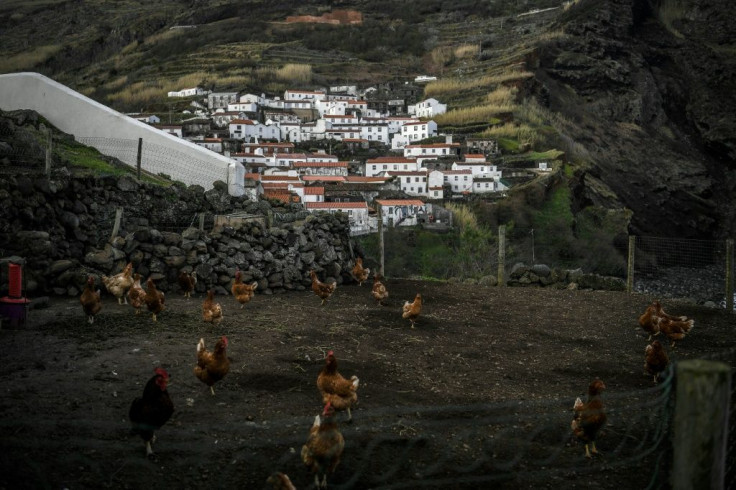 UNESCO has classified the island a biosphere reserve