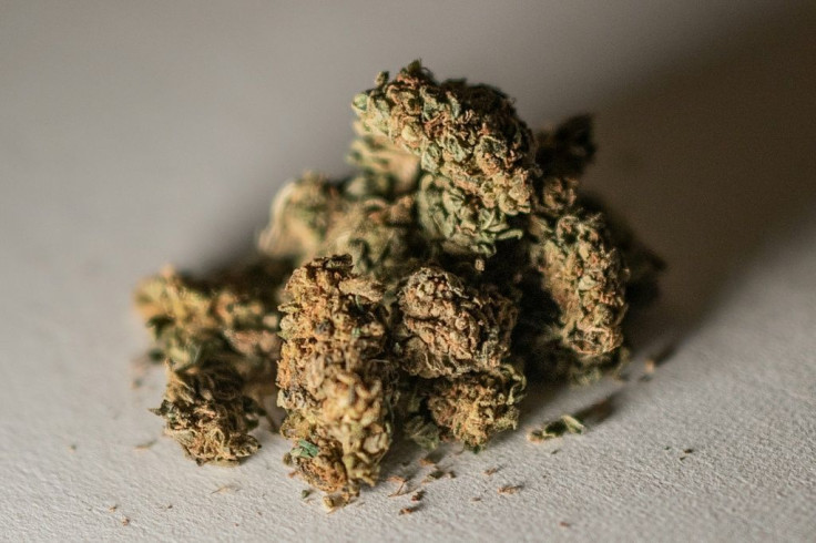 A mellow ingredient for France's first cannabis wine drink
