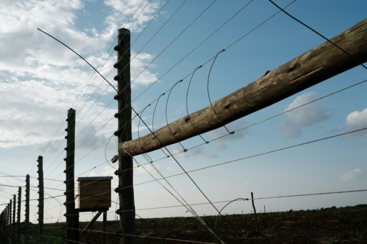 Barrier: The electric fence at the KiliAvo Fresh Ltd avocado farm in Kimana