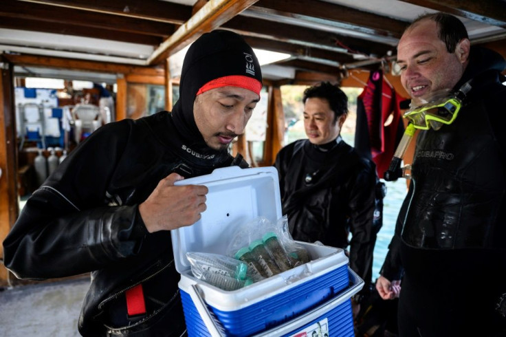 A diver looks at samples stored in a cool box