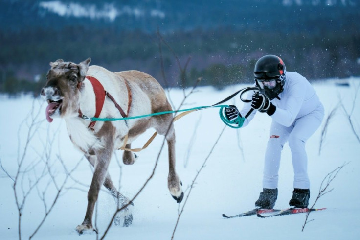 Enjoyment of the great outdoors has become a key part of the Finnish brand of happiness