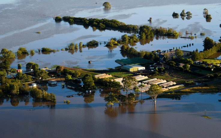 The spider 'plague' warning came after relentless rain unleashed vast flooding in Australia's New South Wales state