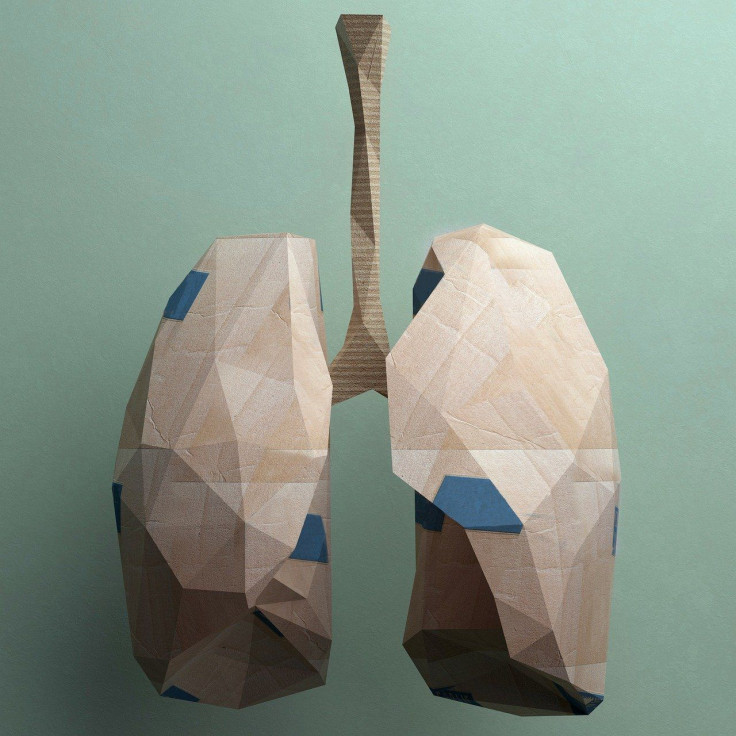 Lungs
