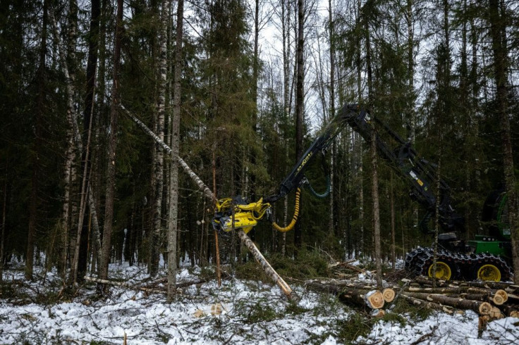 Russia is home to one-fifth of the world's forest and further exploiting this resource could help the country cut down its economic reliance on oil and gas.