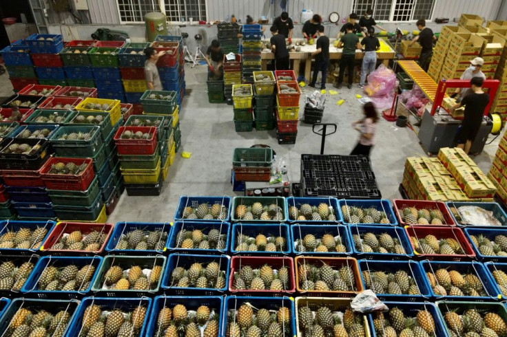 Crates of pineapples are sorted at a warehouse in Pingtung county
