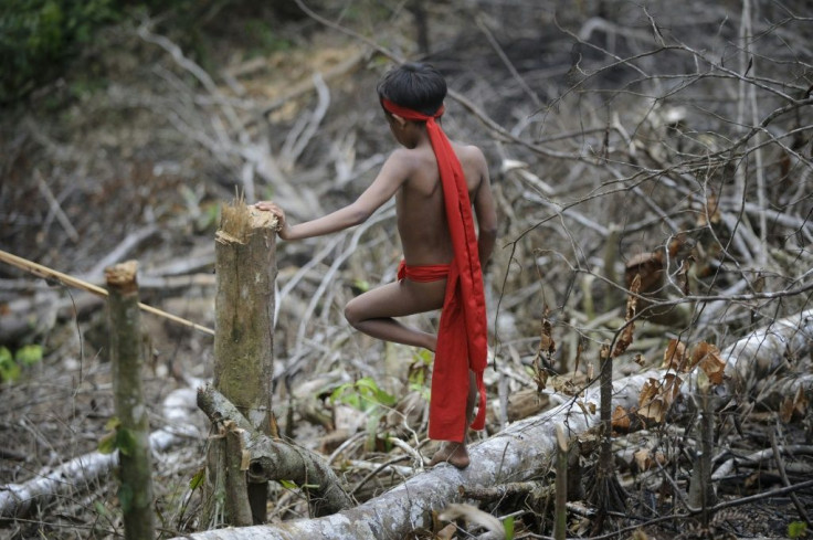 The Yanomami, who are known for their face paint and intricate piercings, were largely isolated from the outside world until the mid-20th century