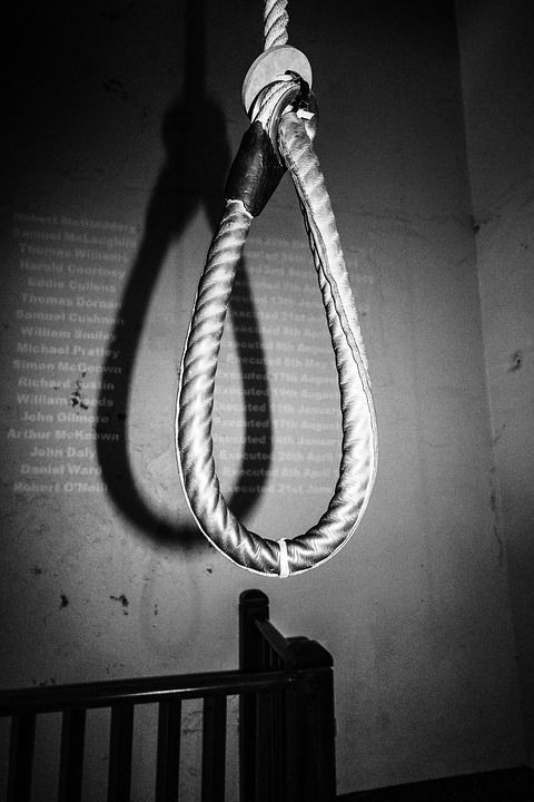 noose