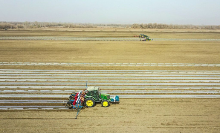 There have been reports of forced labour in cotton-rich Xinjiang