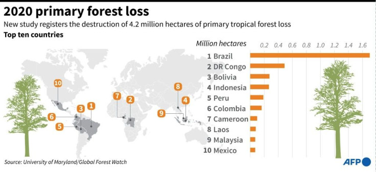Graphic on the top ten countries for primary forest loss in 2020, according to data from the University of Maryland