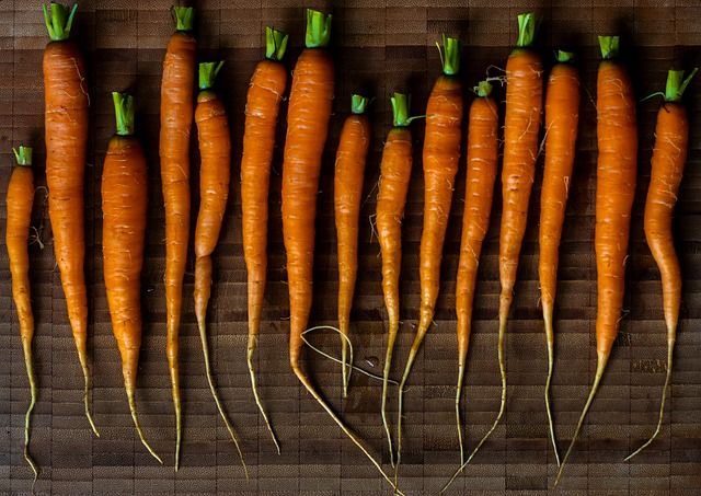 Packaged Carrot Products Being Recalled Over Salmonella Fears | IBTimes