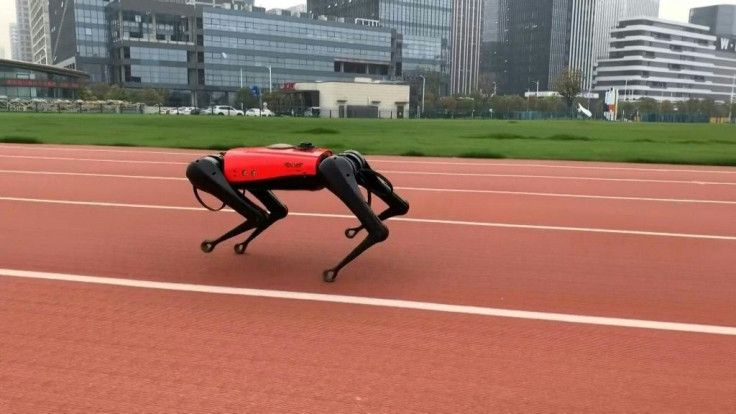 It's whip fast, obeys commands and doesn't leave unpleasant surprises on the floor -- meet the AlphaDog, a robotic response to two of China's burgeoning loves: pets and technology.The high-tech hound uses sensors and Artificial Intelligence (AI) technol