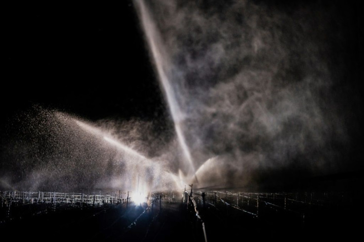 Some Chablis vineyards used water sprinklers to create ice coatings that prevent the frost from drying out leaves