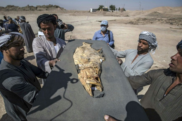 Hawass said 'a large fish covered in gold' may have been venerated