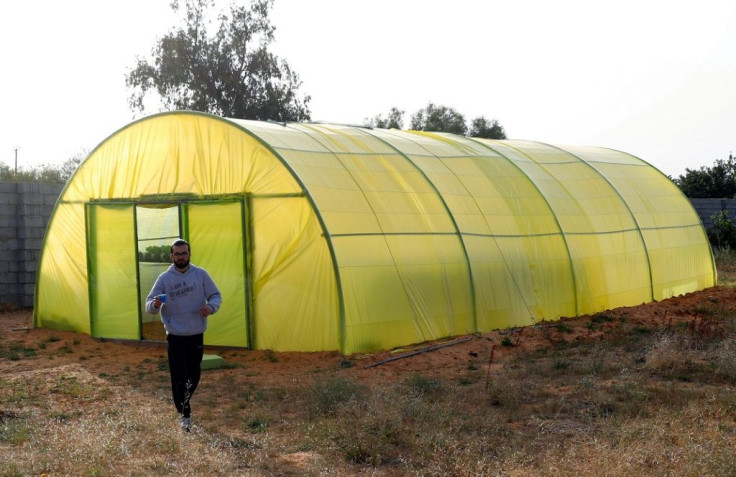 Bechiya and Mounir have worked tirelessly on their project for months, erecting a greenhouse surrounded by breeze-block walls on a semi-arid site