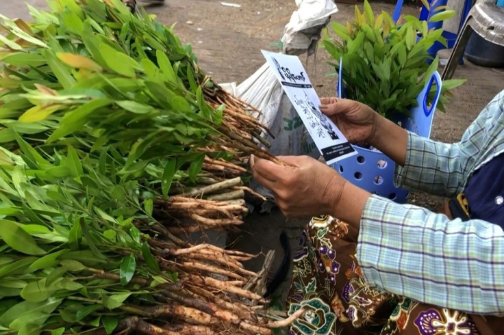 Copies of the underground newsletter are also being distributed secretly at produce markets