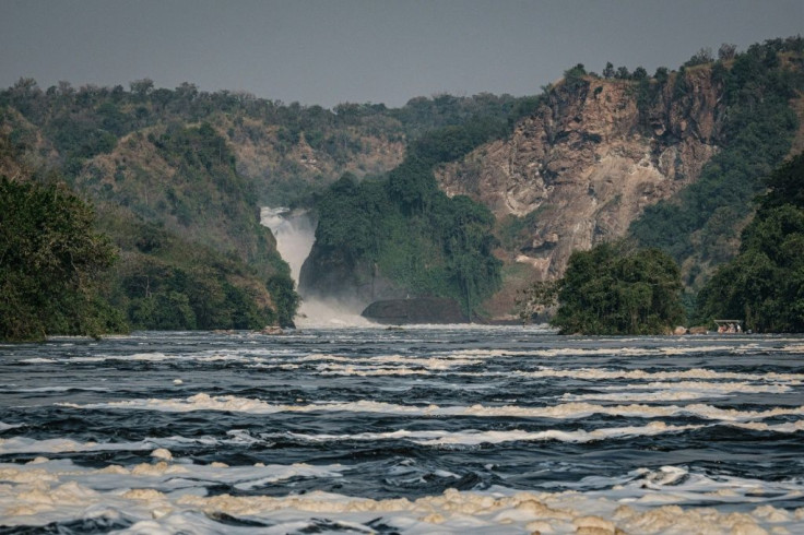 More than half the bird species and 39 percent of the mammalian animal population of the African continent are represented in the Lake Albert Basin