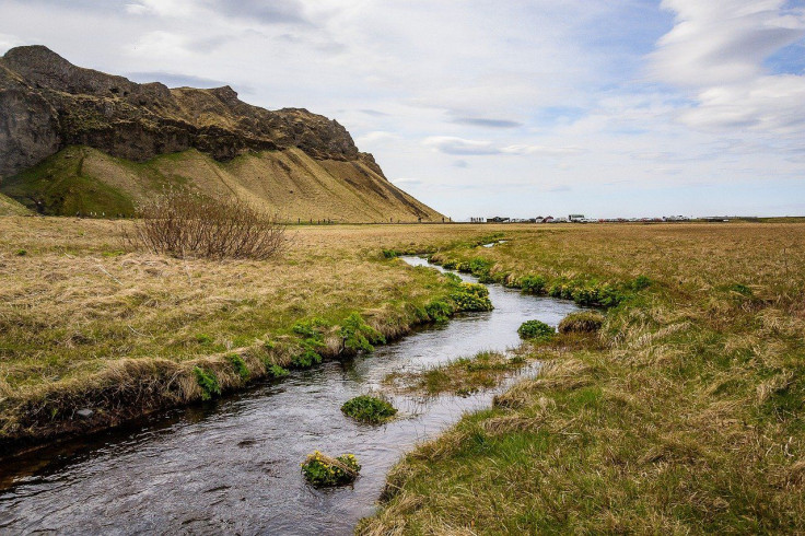 Stream/landscape