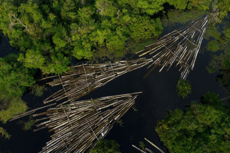 An aerial view of logs of wood seized by the Amazon Military Police at the Manacapuru River in is seen in Manacupuru, Amazonas State, Brazil on July 16, 2020 aftert he Amazon Military Police seized about 900 logs of wood cut t by illegal loggers