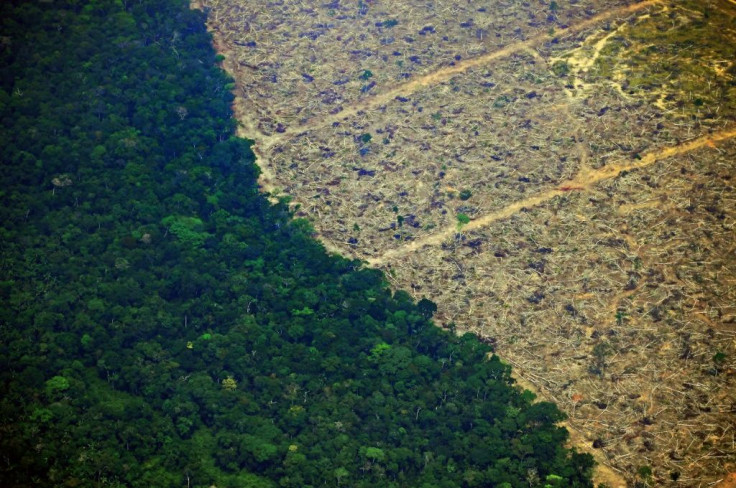 An aerial picture shows a deforested piece of land in the Amazon rainforest near an area affected by fires in the state of Rondonia, in northern Brazil, on August 23, 2019