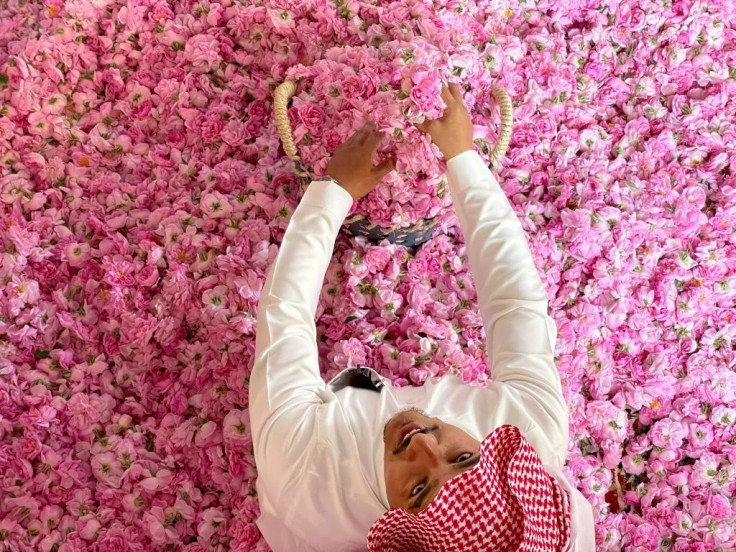 Roses from the Saudi city of Taif are harvested for oil to clean the sacred Kaaba in Mecca