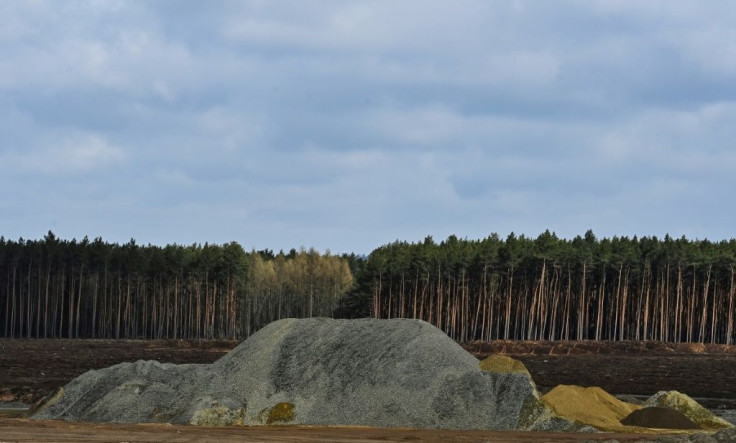 Huge swathes of forest have been cut down to make way for the factory