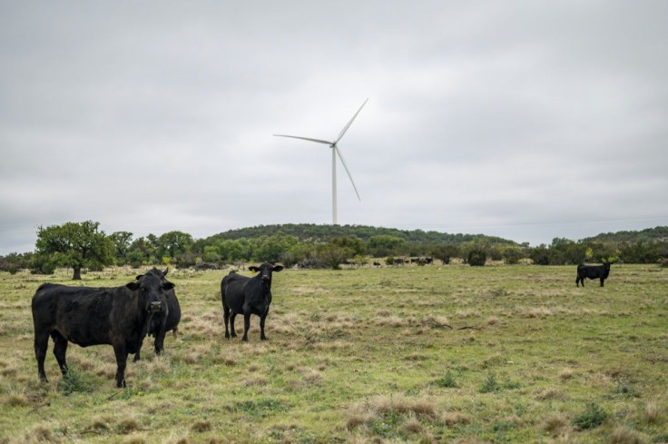 Cows and turbines coexist on Bob Helmers's ranch in Texas, where leaders such as former governor George W Bush, later a US president, promoted an all-of-energy approach