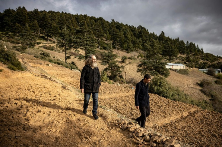 Moroccan farmers stand by a cannabis field at the foot of the mountainous Rif region, awaiting the drug's legalisation for medicinal use