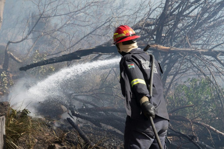 At least 600 hectares of land were charred