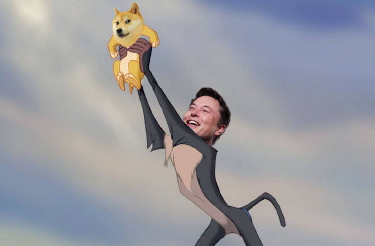 elon on doge growth