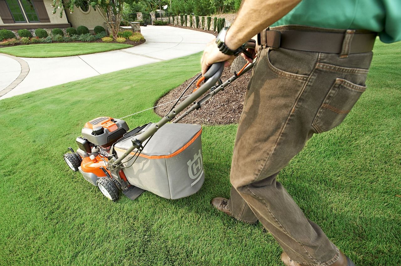 15 Best Heavy Duty Cordless Lawn Mowers For Spring/Summer 2021