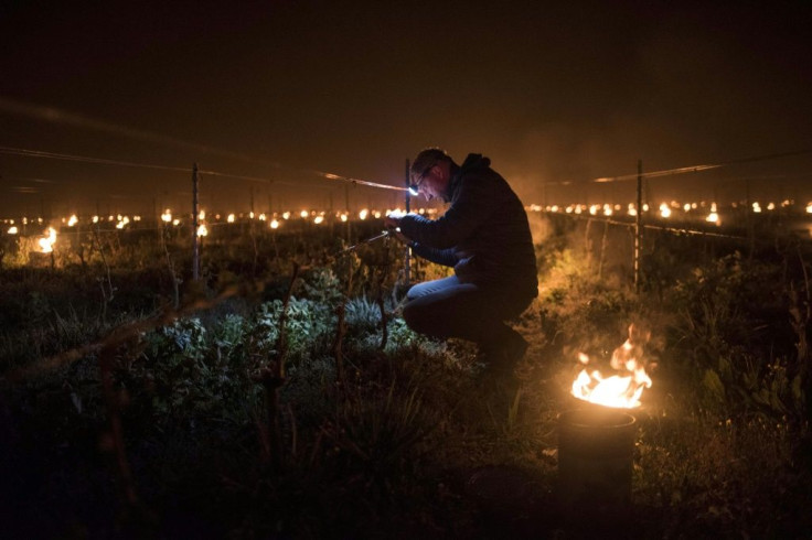 Farmers lit fires to try to save wine harvests at scores of French vineyards in April.