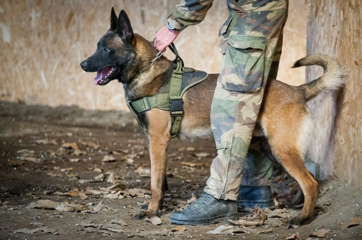 Leuk was killed by an aremd insurgent