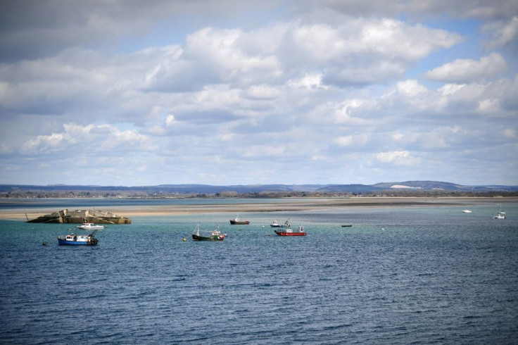 The Langstone Channel where the oysters will be released from the hatchery