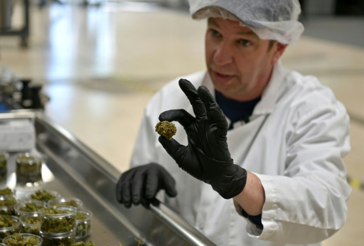 Jim Castetter, sales head of Empire Standard, displays CBD flower the company sells on April 13, 2021 in Binghamton, New York