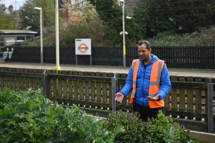 Founder of Energy Garden, Agamemnon Otero, tends to a herb and vegetable section near the platform at Brondesbury Park Overground train station in north west London