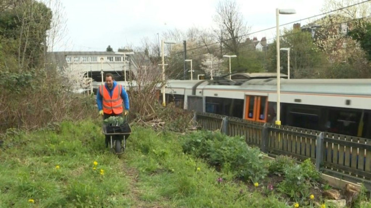 You might not expect to feel close to nature travelling on a train through London but just a few steps from the platform at Brondesbury Park station an Energy Garden is thriving, creating a microcosm of biodiversity hiding in plain sight.