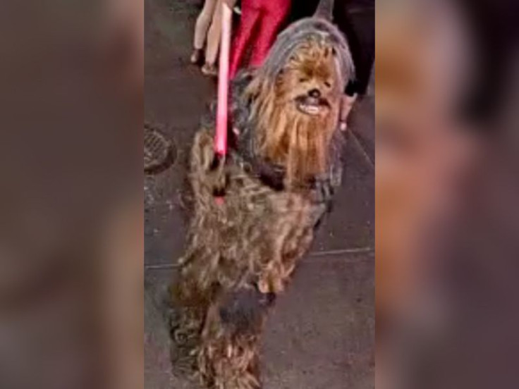 chewbacca1